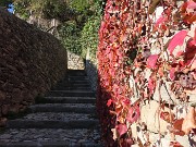 In CITTA’ ALTA per stradette-salite-scalette -23nov23  - FOTOGALLERY